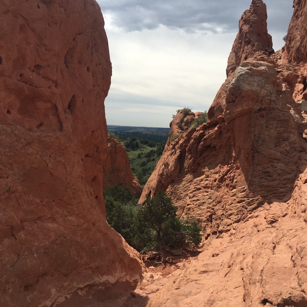 Meet your Posher, Pam